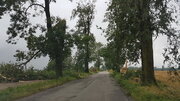 droga Włościbórz - Wałdowo