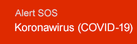 Informacje - Koronawirus